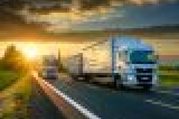 Yaptığımız Çalışmalar