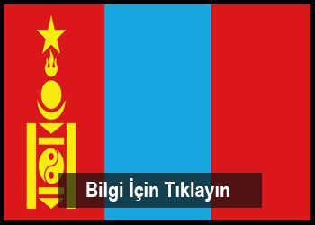 MOĞOLİSTAN NAKLİYE HİZMETLERİ